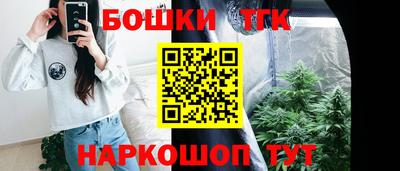 ешки Владимир