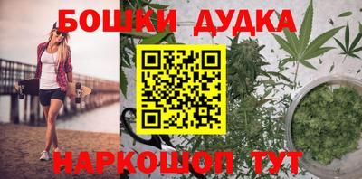 индика Владикавказ