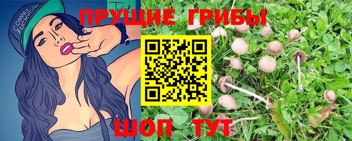 Галлюциногенные грибы GOLDEN TEACHER Белебей